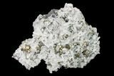 Quartz and Cubic Pyrite Crystal Association - Peru #149591-1